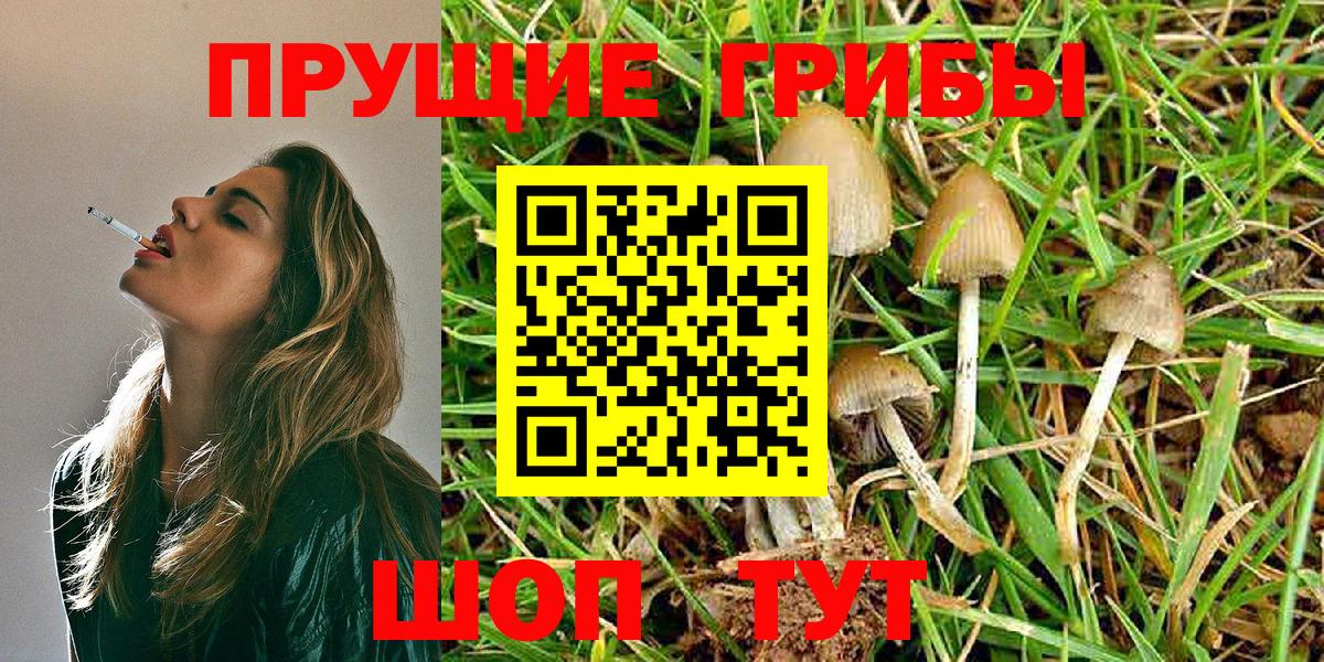 Кушва  Псилоцибиновые грибы MAGIC MUSHROOMS  Вход с VPN 